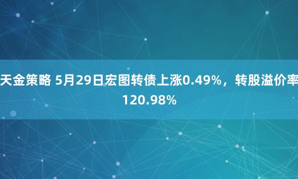 天金策略 5月29日宏图转债上涨0.49%，转股溢价率120.98%