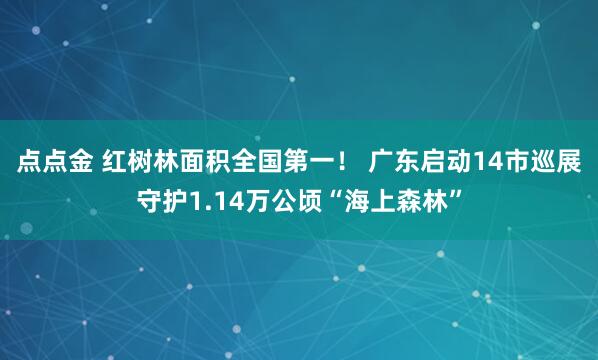 点点金 红树林面积全国第一! 广东启动14市巡展守护1.14万公顷“海上森林”