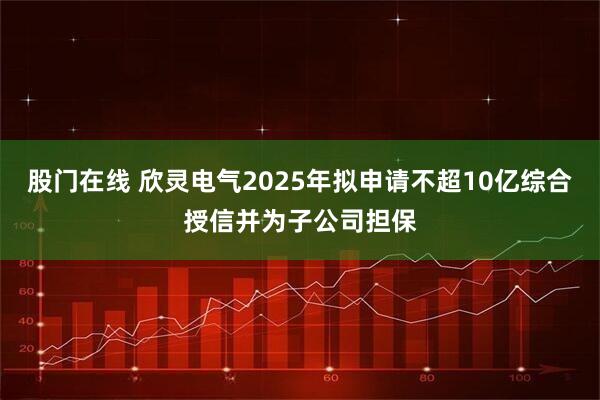 股门在线 欣灵电气2025年拟申请不超10亿综合授信并为子公司担保