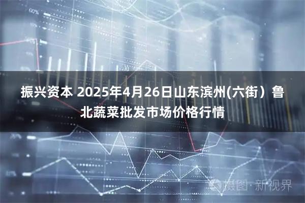 振兴资本 2025年4月26日山东滨州(六街）鲁北蔬菜批发市场价格行情