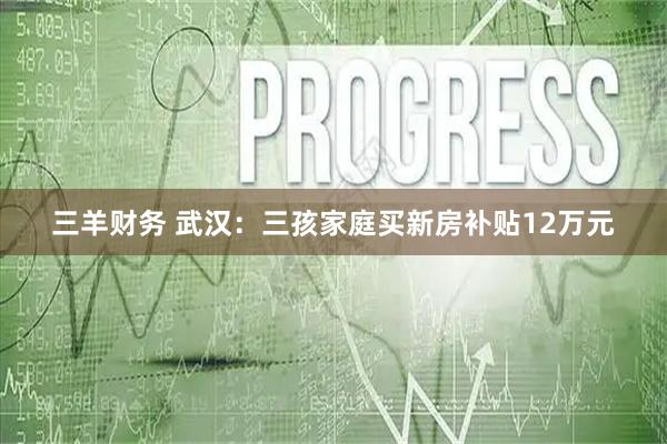 三羊财务 武汉：三孩家庭买新房补贴12万元