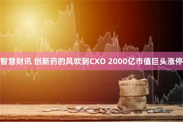 智慧财讯 创新药的风吹到CXO 2000亿市值巨头涨停
